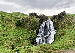 Waiteti Stream waterfall