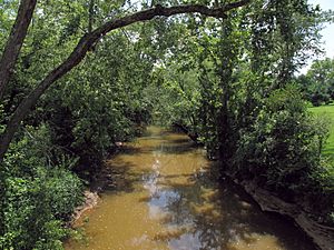 Worthington Creek WV.jpg