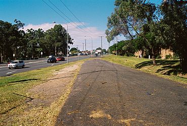 "Eight Mile Plains" former alignment - Flickr - Fishyone1.jpg