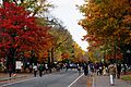 131103 Hokkaido University Sapporo Hokkaido Japan12s5