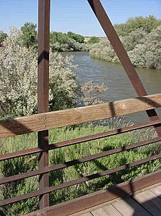 Animas River Bridge