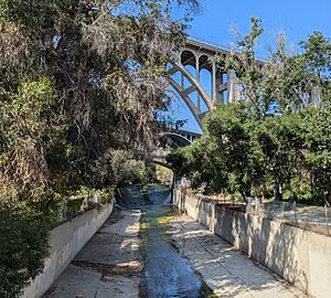 Arroyo Seco under the bridges