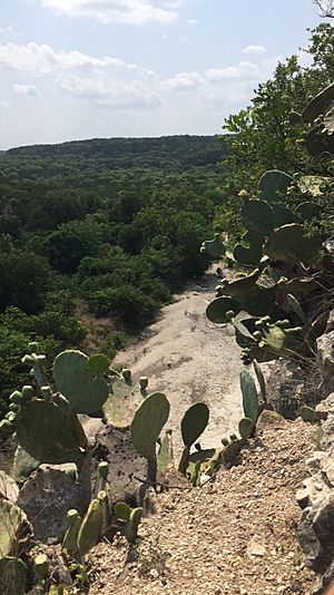 Barton Creek Greenbelt