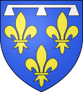 Blason duche fr Orleans (moderne).svg