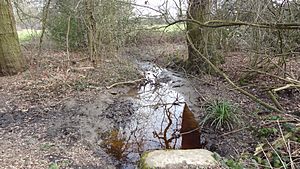 Burtonhole Brook