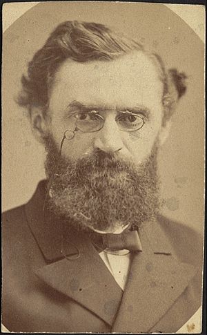 Carl Schurz - DPLA - 0d74998103b05eb360f6bd0e69d68091 (page 1)