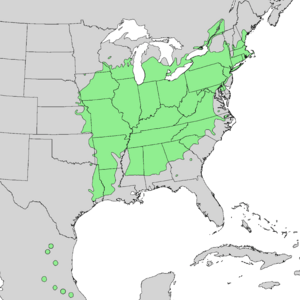 Carya ovata range map 1.png