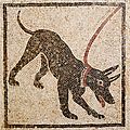 Cave canem MAN Napoli Inv110666