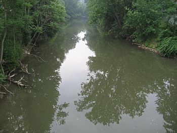 Connoquenessing Creek.JPG