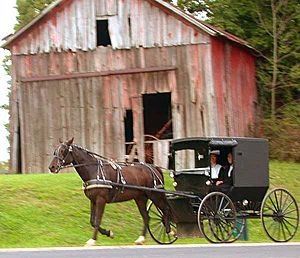 DSCN4624 holmescountyamishbuggy e