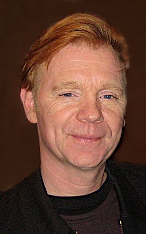 David Caruso 2008.jpg