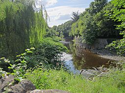 Dodder Milltown