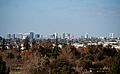 Downtown Skyline from Oak Hill