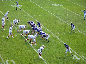 Holy Cross vs. Brown Football 2007