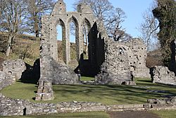 Inch Abbey, Downpatrick, March 2010 (03)