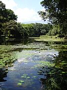 Jardin Botanico-Lago-Medellin