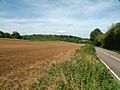 Jewels Wood, between New Addington and Biggin Hill - geograph.org.uk - 42378