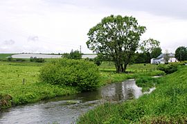 La Haute-Sûre à Sûre