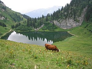 Lac d'arvoin