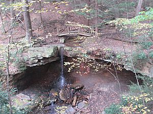 Linn Run Adams Falls