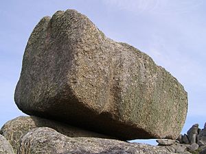 Logan Rock Treen closeup.jpg