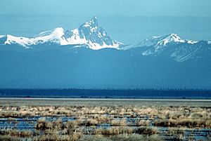 Lower Klamath NWR marsh and mountains