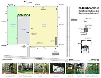 Map of blechhammer v2.jpg