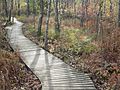 Moose Hill Wildlife Sanctuary P1080636