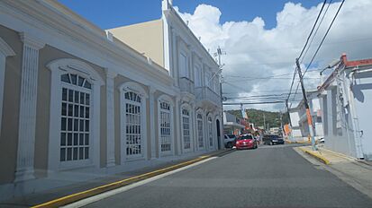 Naguabo IMG 1698