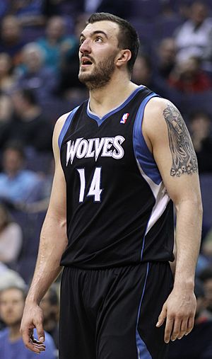 Nikola Pekovic01.jpg