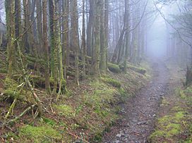 Old-black-appalachian-trail-tnnc1.jpg