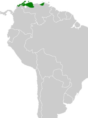 Patagioenas corensis map.svg