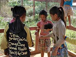 Roshambo-Laos