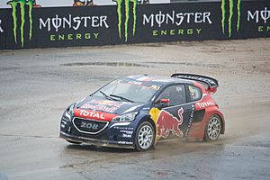 Sebastien Loeb 9