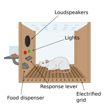 Skinner box scheme 01