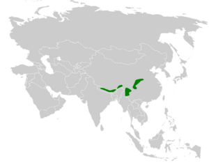 Suthora fulvifrons distribution map.png