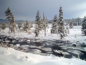 Truckee river.JPG