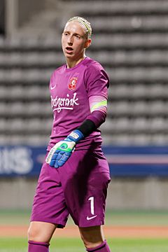 20141015 - PSG-Twente 084 (cropped)