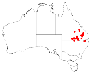 Acacia burbidgeaeDistMap139.png