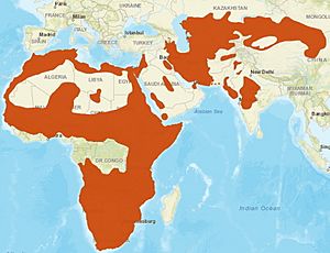 AfricanWildcat distribution