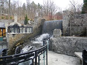 Ancaster Mill-Laslovarga (4).JPG