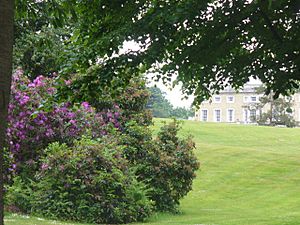 Ashtead Park showing City of London Freemen's School