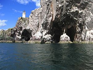 Bass Rock Lighthouse Caves