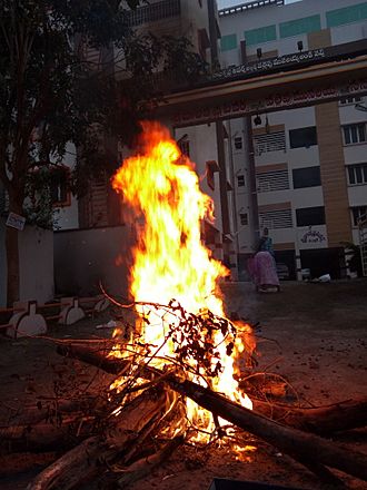 Bhogi fire.jpg