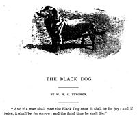 Black Dog