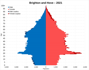 Brighton and Hove population pyramid