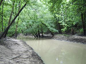 Buffalo Bayou