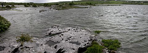 Carran Turlough