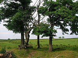 Cholera pit site, Barrmill