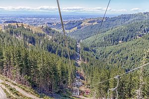 Christchurch Adventure Park